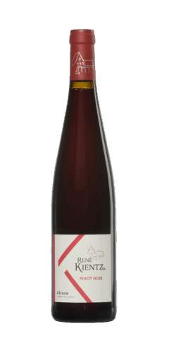 alsace pinot noir kientz