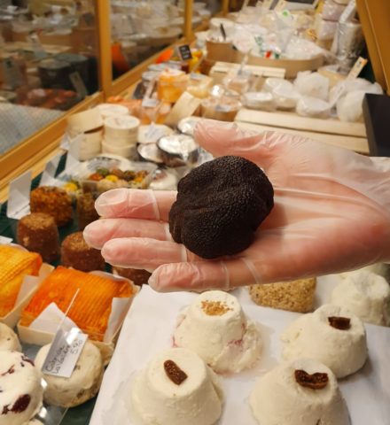 Truffe du Périgord pour Noël Truffe du Périgord pour Noël