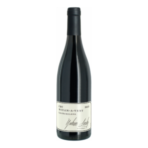 MOULIN A VENT - LES MICHELONS - YOHAN LARDY