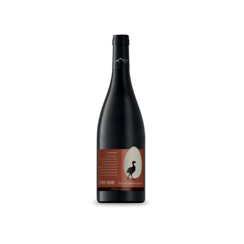 PAYS D'OC DINOSAURE PINOT NOIR