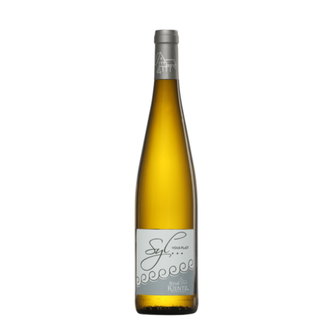 SYLVANER DOMAINE KIENTZ